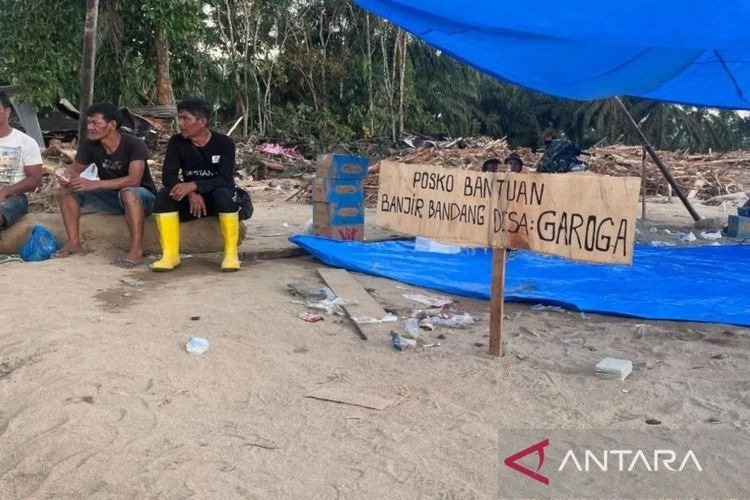 Tragedi 'Tsunami Kayu' Desa Garoga: Saat Bencana Alam Berkelindan dengan Tanda Tanya Izin Hutan